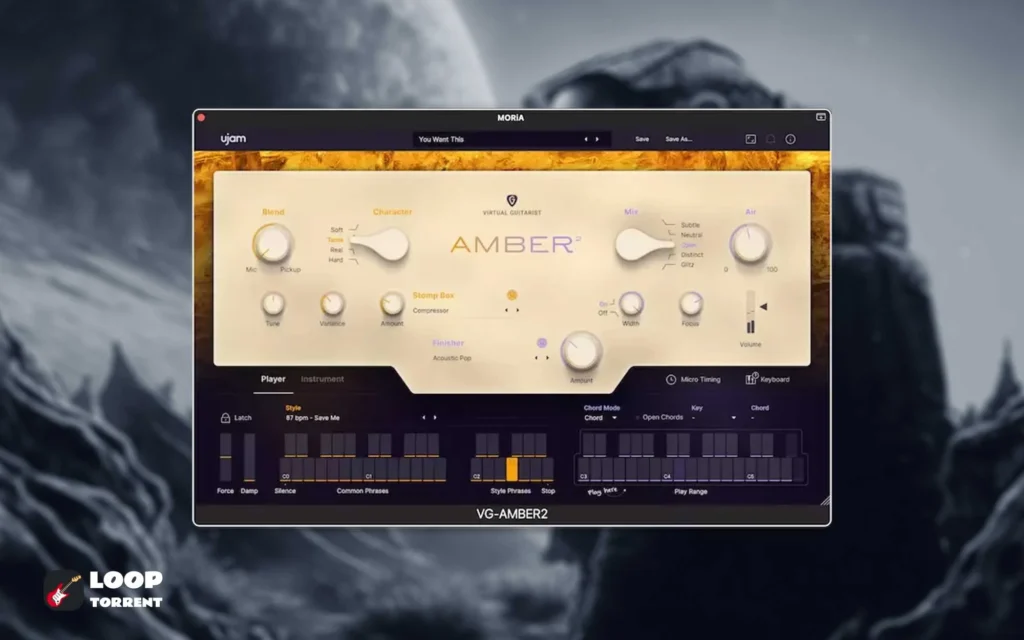 UJAM – Virtual Guitarist Amber 2 v2.3.0 VSTi, VSTi3 x64