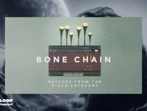 Wrongtools Bone Chain (KONTAKT)