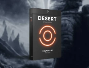 The Producer School Desert