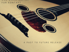 Past to Future Reverbs Oud Wood Guitar (Kontakt)