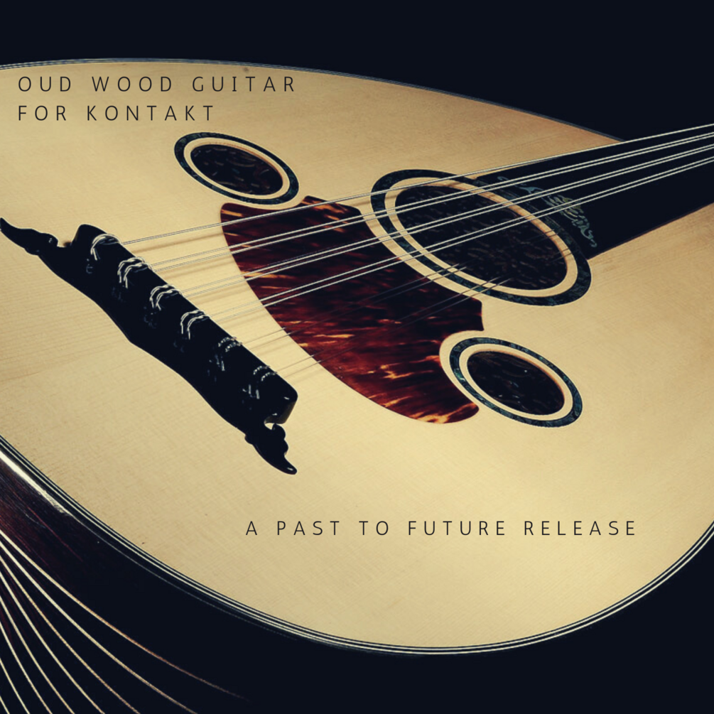 Past to Future Reverbs Oud Wood Guitar (Kontakt)