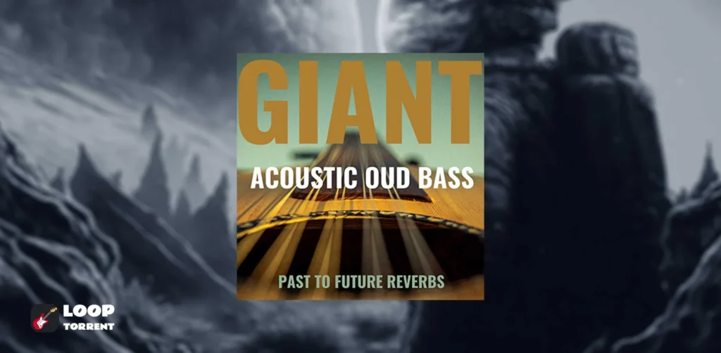 Past to Future Reverbs Giant Acoustic Round-Back Fretless Bass (Kontakt)