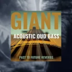 Past to Future Reverbs Giant Acoustic Round-Back Fretless Bass (Kontakt)