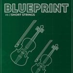 Fracture Sounds Blueprint: Short Strings (Kontakt)