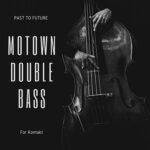 Past to Future Reverbs Motown Double Bass (Kontakt)