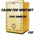 Past to Future Reverbs P2F Cajon (Kontakt)