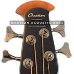 Past to Future Reverbs Ovation Acoustic Bass (Kontakt)