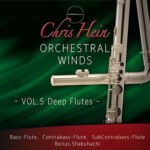 Best Service Chris Hein Orchestral Winds Vol. 5: Deep Flutes (Kontakt)