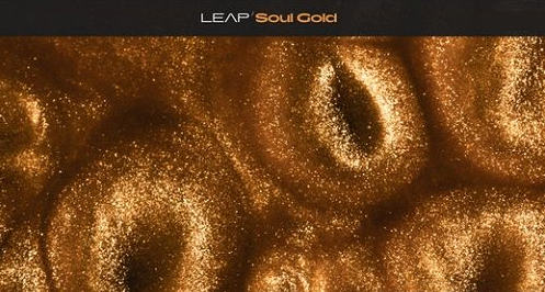 Native Instruments – Leap Soul Gold (KONTAKT)