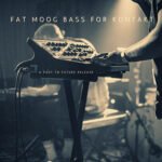 Past to Future Reverbs – Fat Moog Bass (KONTAKT)