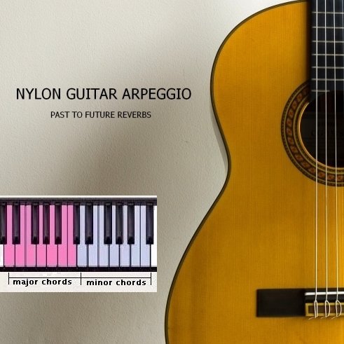 Past to Future Reverbs Nylon Guitar Arpeggio (KONTAKT)