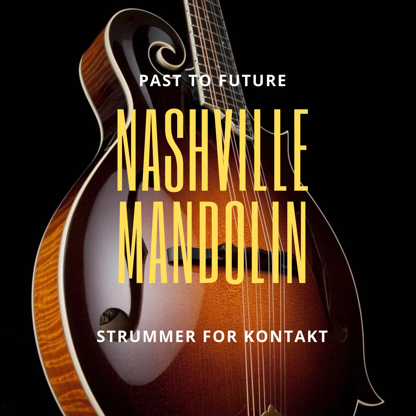 Past to Future Reverbs Nashville Mandolin Strummer (KONTAKT)