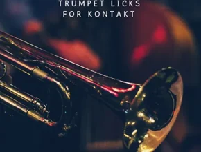 Past to Future Reverbs Trumpet Licks (KONTAKT)