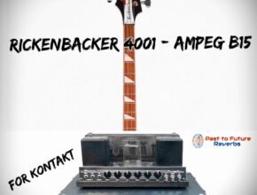 Past to Future Reverbs – Rickenbacker 4001 Bass Through Ampeg B15 Amp (KONTAKT)