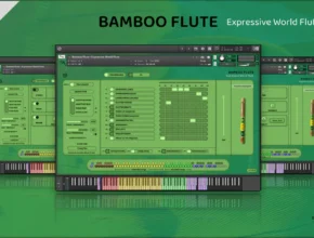 Insanity Samples – Bamboo Flute Expressive World Flute (KONTAKT)